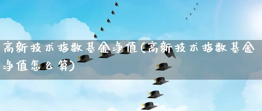 高新技术指数基金净值(高新技术指数基金净值怎么算)_https://www.wxylife.com_期货技巧_第1张