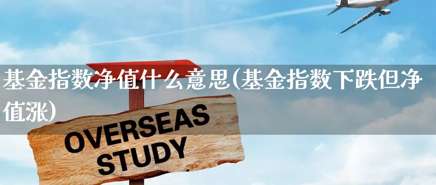 基金指数净值什么意思(基金指数下跌但净值涨)_https://www.wxylife.com_期货理财_第1张