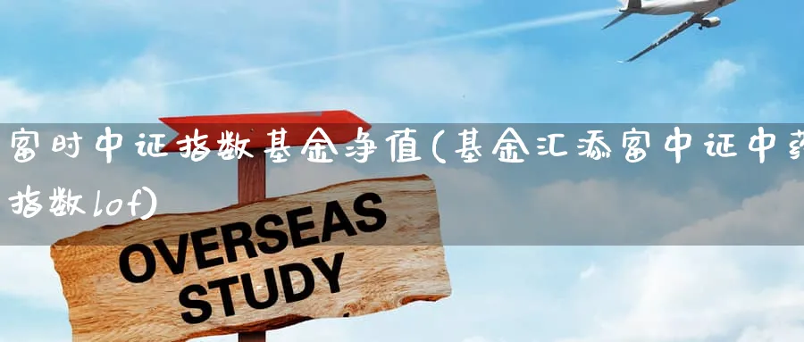 富时中证指数基金净值(基金汇添富中证中药指数lof)_https://www.wxylife.com_理财技巧_第1张